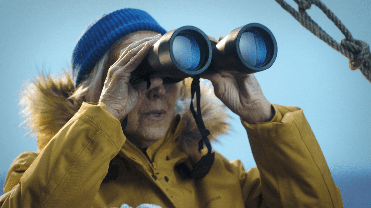 MSC <BR> AZUL MUY MARINO </BR>  PIEZA: DOCUMENTALES